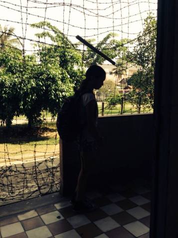 1493148_10152102887571273_563027784_n