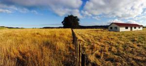 Te Ao Hou Marae, Tikitiki/Rangitukia